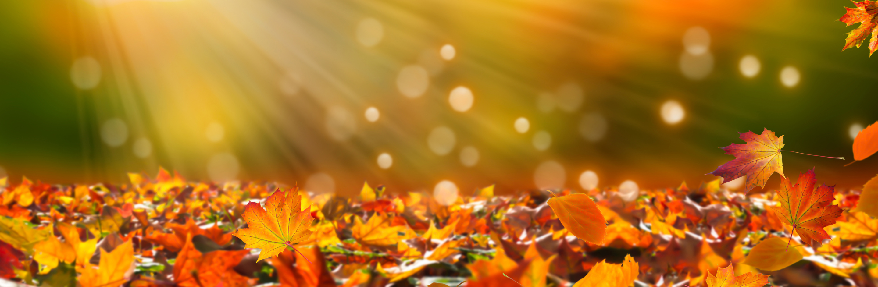 October Bank Holiday Weekend Hours